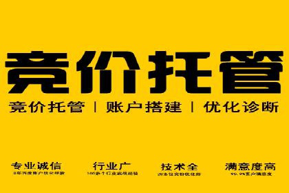 SEM优化师案例：精准营销，助力企业业绩增长